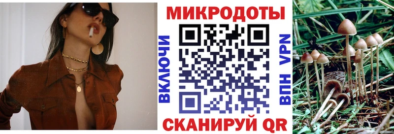 Купить  Щёкино  Псилоцибиновые грибы Magic Shrooms 